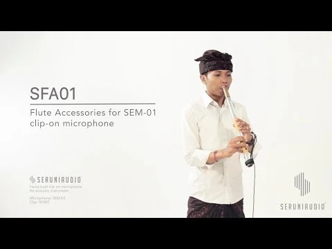 SFA01 Set de accesorios para flauta